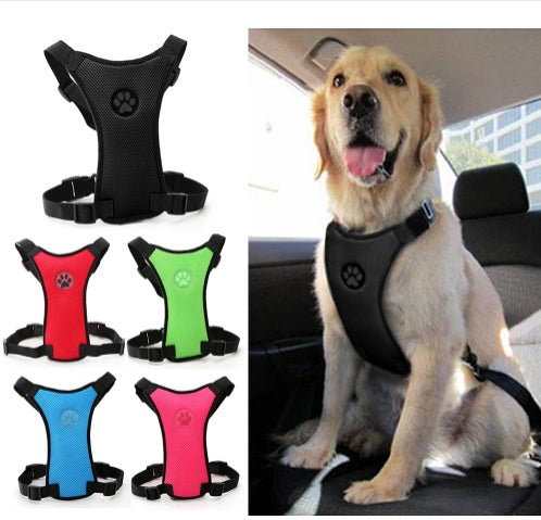 Canisafe™ – Harnais chien avec ceinture de sécurité auto